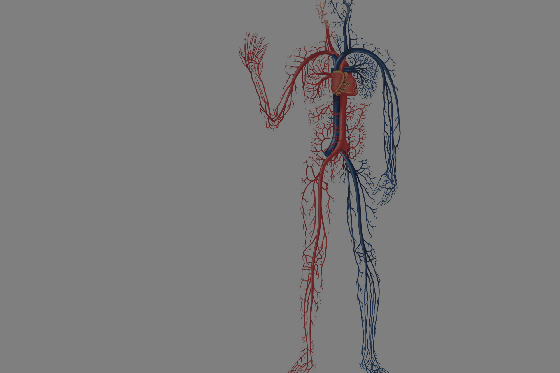 Médico especialista en angiología cerca de Miramontes CDMX